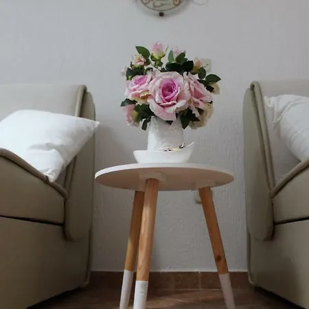 Pirovic Apartamento *