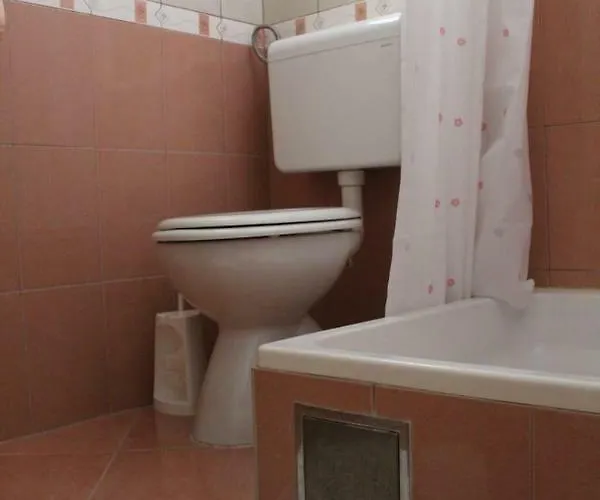 Pirovic Apartment *